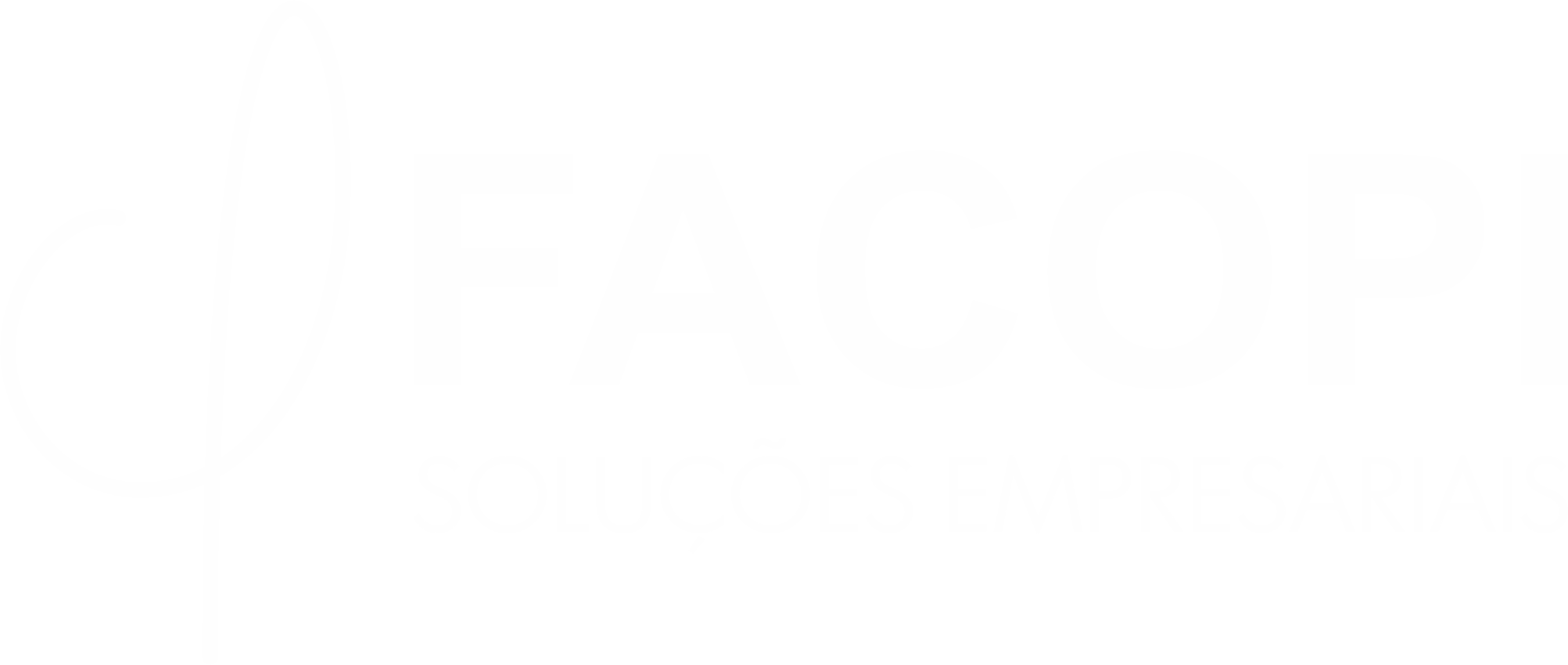 FACOPI Soluções Empresariais